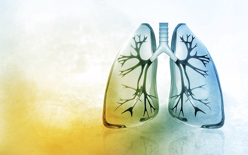 Servicii Pulmonare